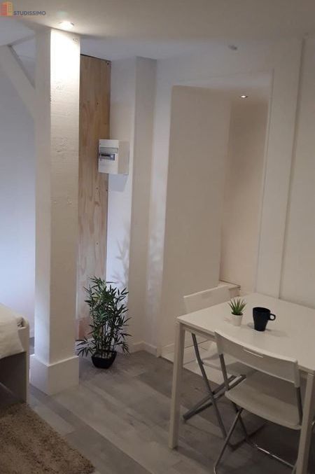 Studio meublé 20m² Gières - Proche université - Photo 5