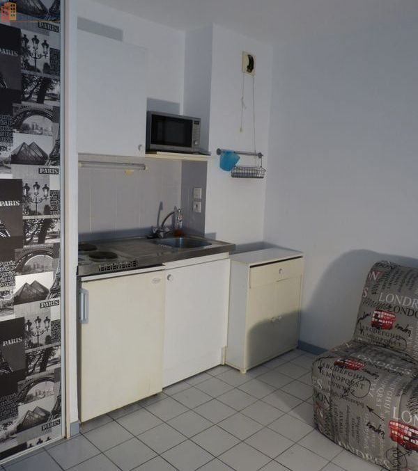 Studio 20m² Grenoble centre - Meublé, tout équipé - Photo 4