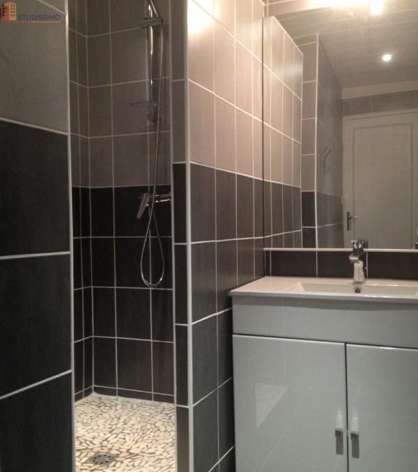 Studio meublé 11m² Saint-Martin-d'Hères - Meublé, DPE C - Photo 22
