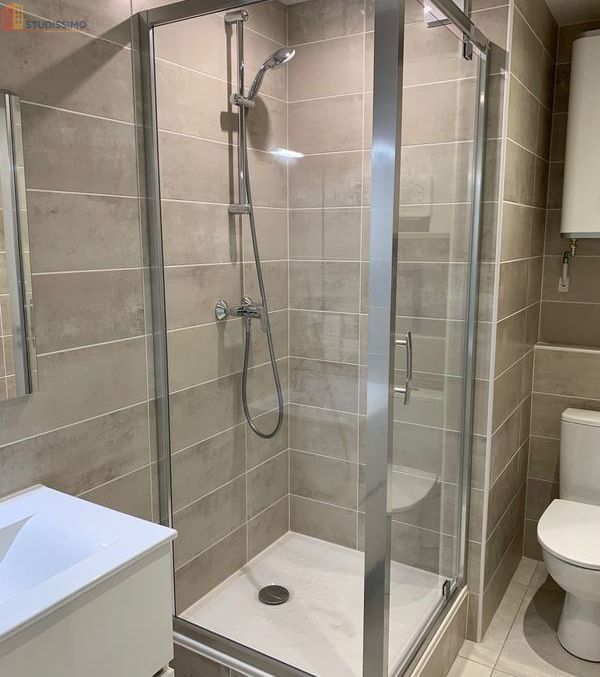 Studio 20m² Grenoble centre - Équipé, proche parc Paul Mistral - Photo 2