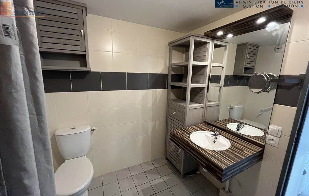 Studio meublé 30m² Grenoble 38000 - Meublé, 5e étage - Photo 7