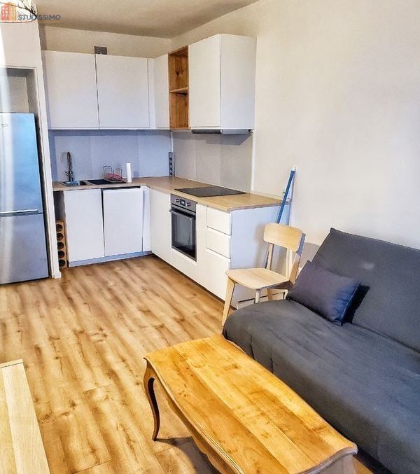 Studio meublé 35m² Grenoble - Vue, étage élevé - Photo 2