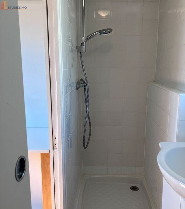 Studio 28m² Grenoble centre-ville - Rue piétonne, lumineux - Photo 4