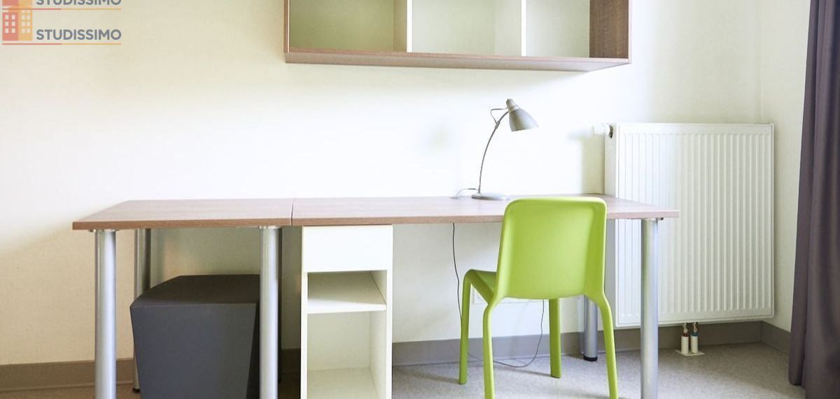 Studio 19m² Saint-Martin-d'Hères - Étage élevé, DPE C - Photo 3