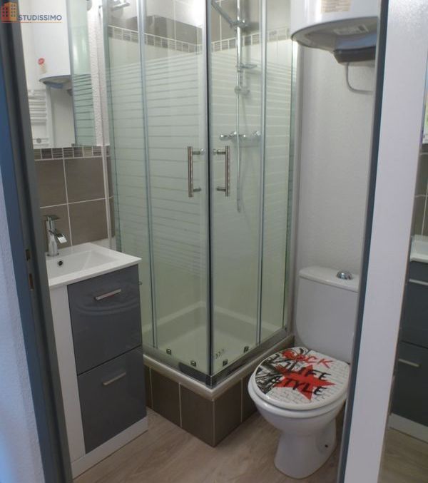 Studio 18m² Grenoble centre - Meublé, parking privé - Photo 3
