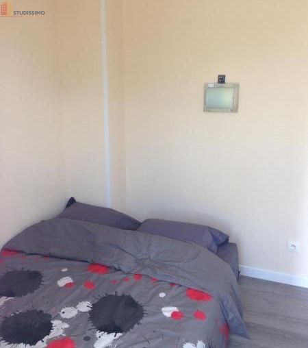 Studio meublé 23m² Grenoble 38000 - Étage élevé, lumineux - Photo 10
