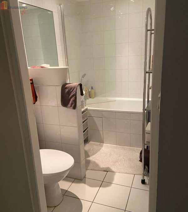 Studio 20m² Grenoble centre - Meublé, dernier étage - Photo 2