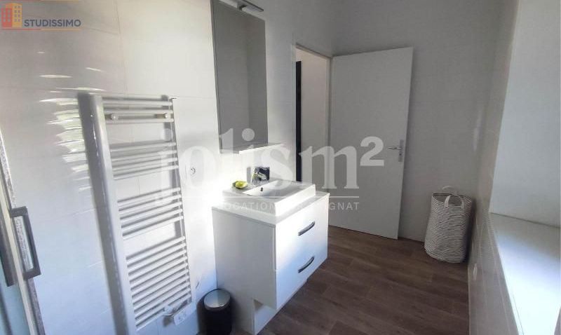 Studio meublé 23m² Grenoble 38100 - Meublé, DPE D - Photo 12