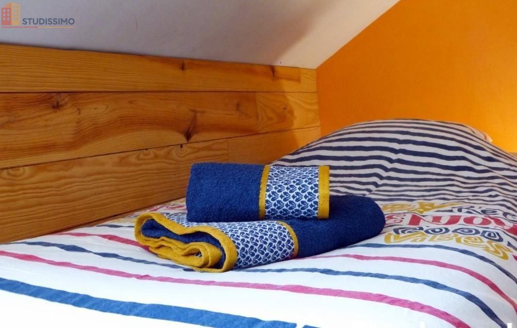 Studio meublé 18m² Grenoble 38000 - Étage élevé, lumineux - Photo 25