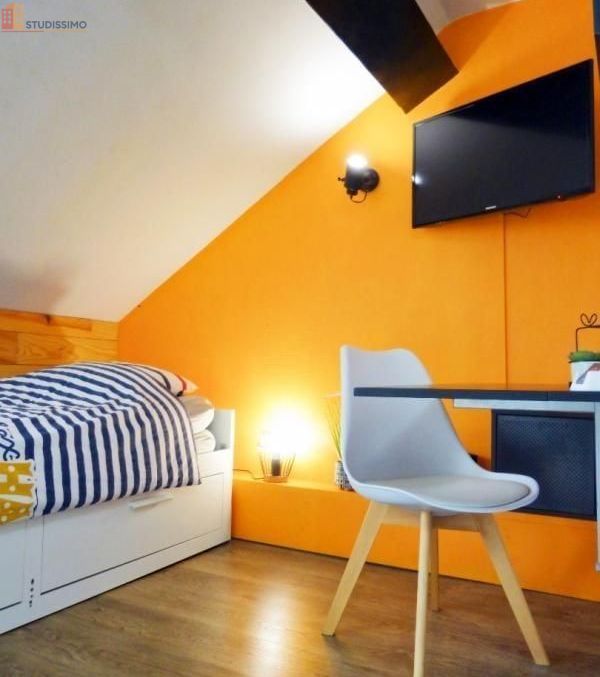 Studio meublé 18m² Grenoble 38000 - Étage élevé, lumineux - Photo 29