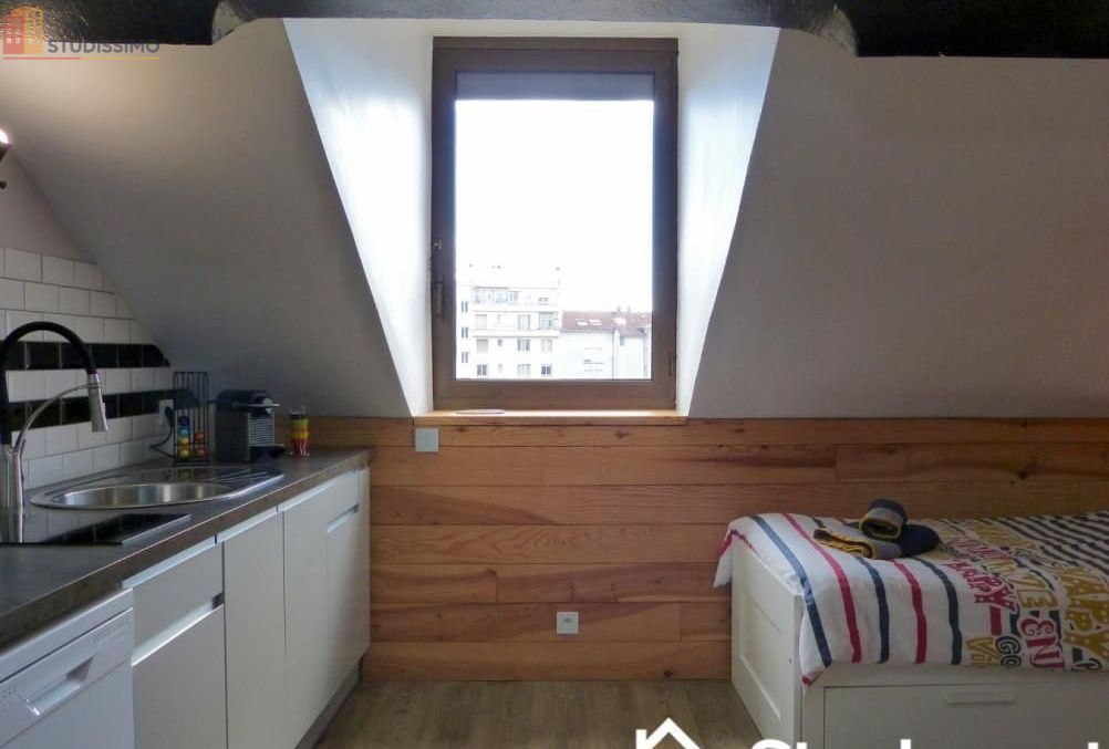 Studio meublé 18m² Grenoble 38000 - Étage élevé, lumineux - Photo 12