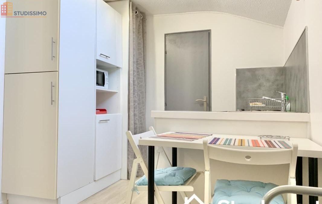 Studio meublé 18m² Grenoble - Lumineux, étage élevé - Photo 4