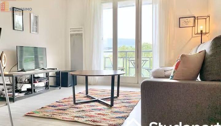 Studio meublé 30m² Grenoble - Lumineux, étage élevé - Photo 10