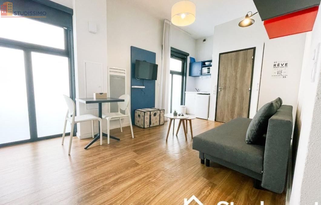 Studio meublé 17m² Grenoble - Lumineux, DPE A - Photo 14