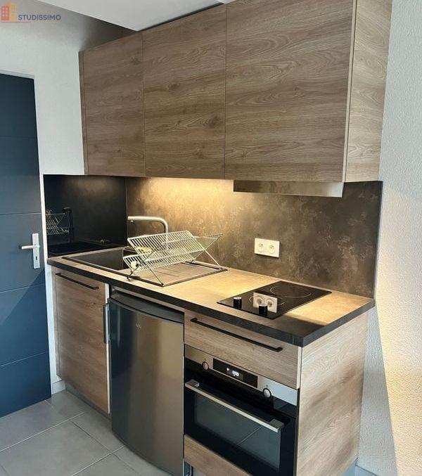 Studio meublé 27m² Grenoble centre - Vue montagnes, standing - Photo 10