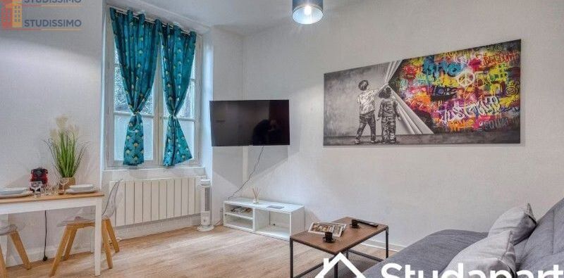 Studio meublé 21m² Grenoble - Lumineux, DPE A - Photo 7