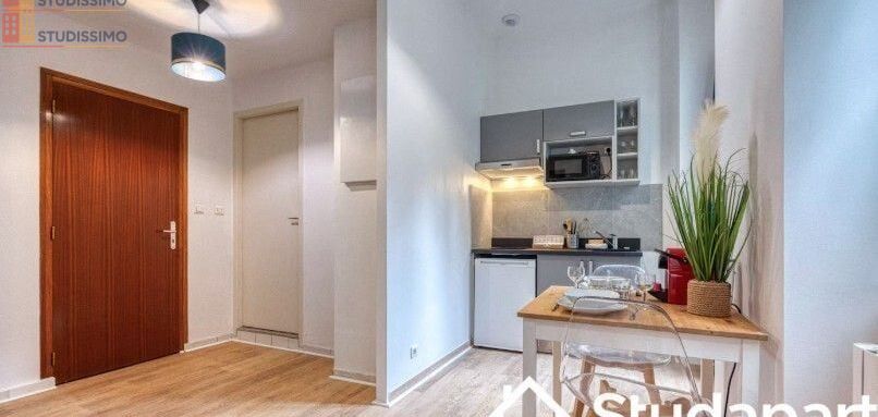 Studio meublé 21m² Grenoble - Lumineux, DPE A - Photo 4