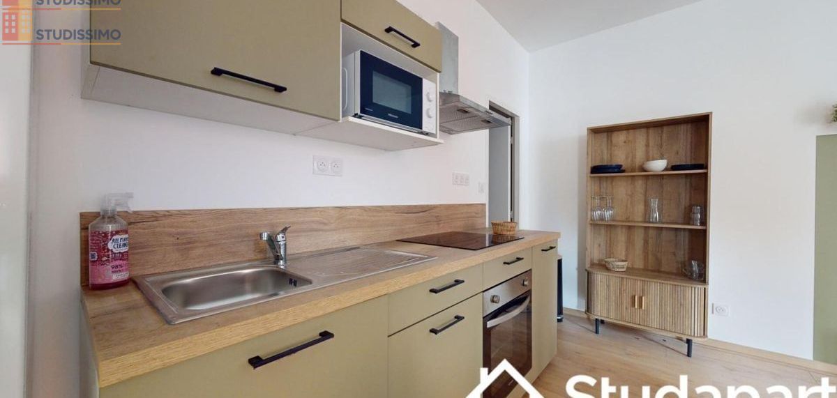 Studio meublé 10m² Grenoble centre - Meublé, DPE A - Photo 8