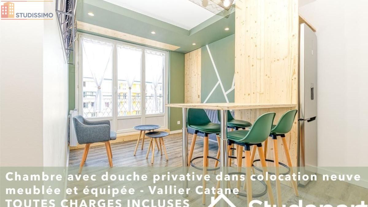 Studio meublé 13m² Grenoble 38100 - Lumineux, 8e étage - Photo 16