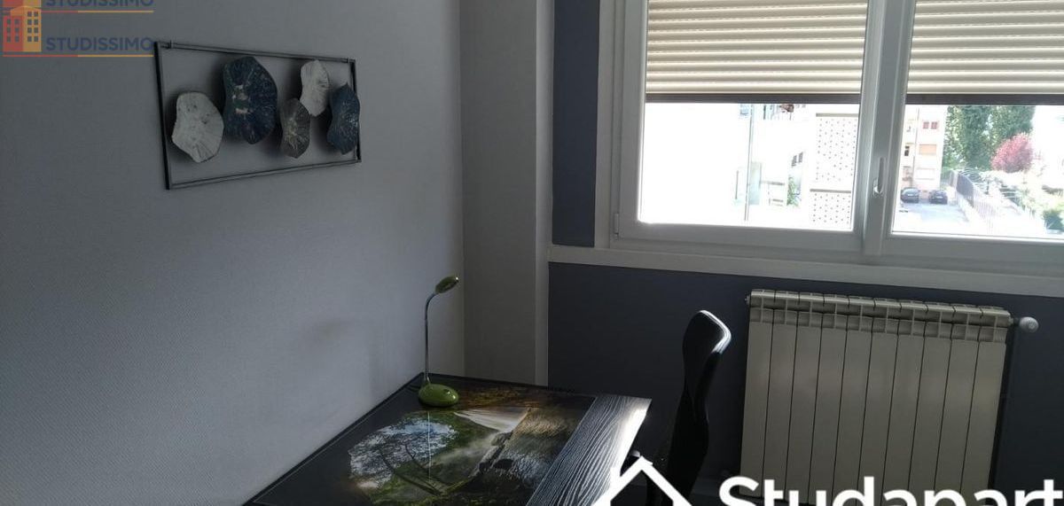Studio meublé 11m² Grenoble 38100 - Calme, lumineux - Photo 6