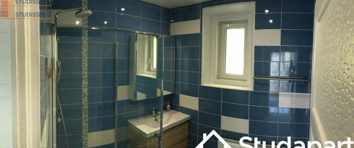 Studio meublé 14m² Grenoble 38100 - Meublé, DPE A - Photo 9