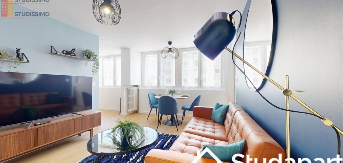 Studio 10m² Grenoble centre - Meublé, lumineux - Photo 3