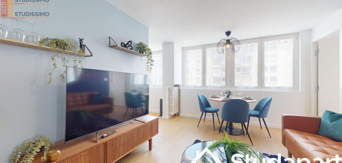 Studio 10m² Grenoble centre - Meublé, lumineux - Photo 4