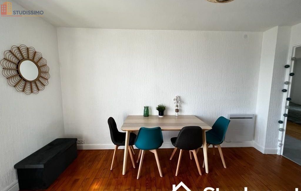 Studio meublé 11m² Grenoble 38100 - Lumineux, dernier étage - Photo 4