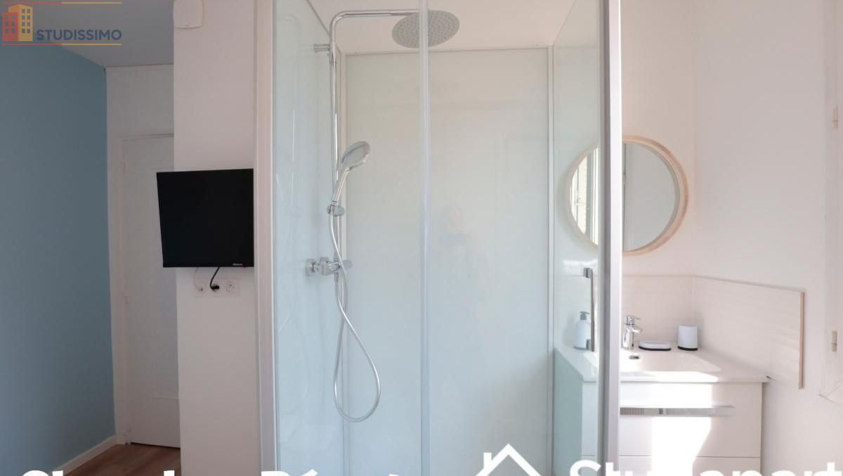 Studio 11m² Grenoble 38100 - Meublé, lumineux - Photo 14
