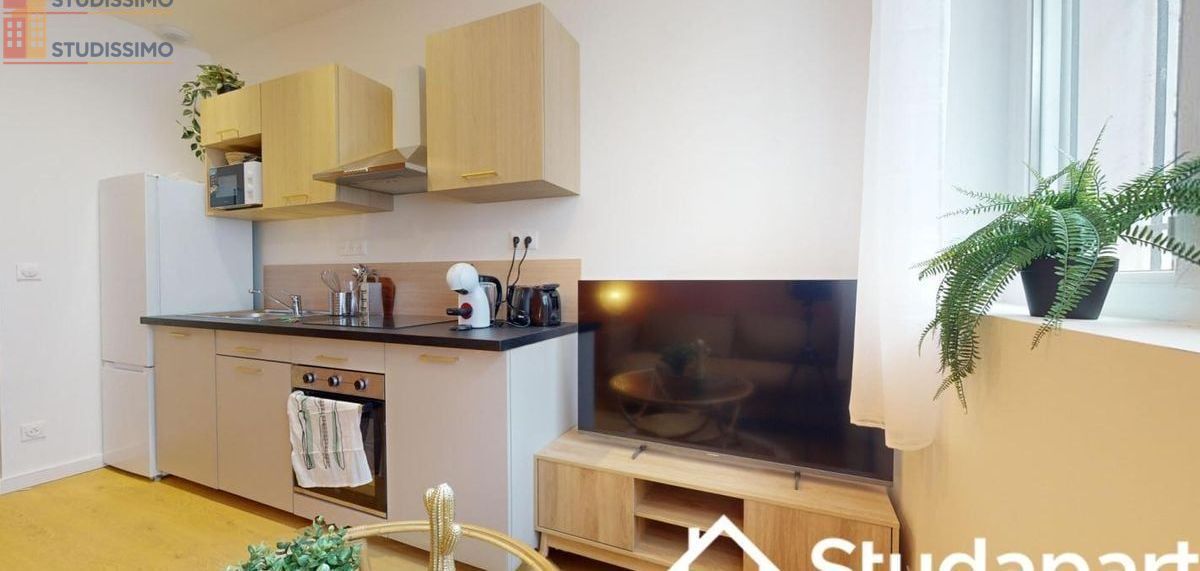 Studio meublé 13m² Grenoble 38100 - Meublé, DPE A - Photo 2