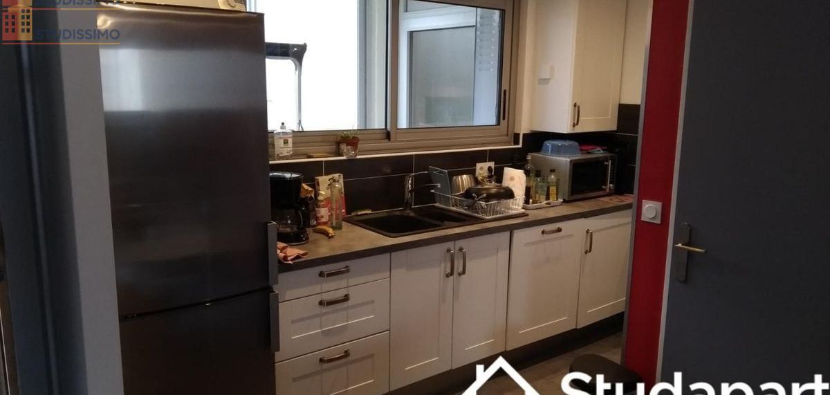 Studio 11m² Grenoble 38100 - Meublé, lumineux - Photo 8