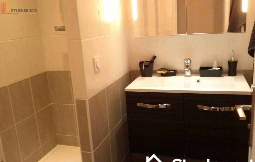 Studio 11m² Grenoble 38100 - Meublé, lumineux - Photo 4