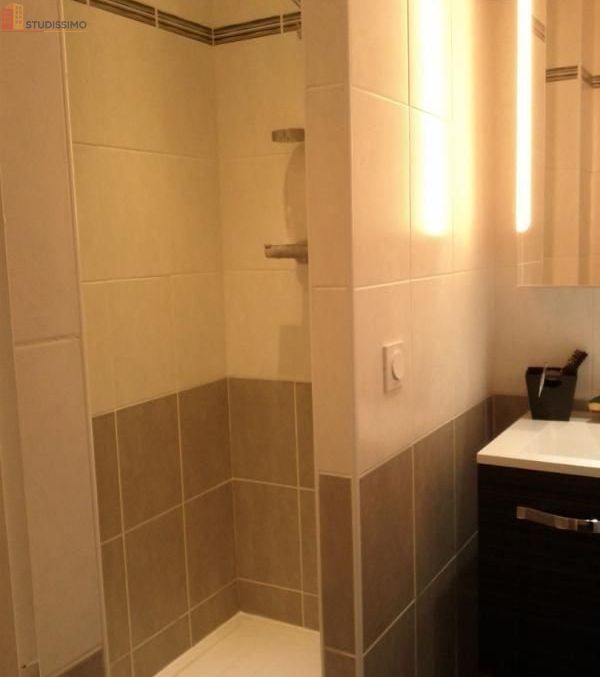 Studio 11m² Grenoble 38100 - Meublé, lumineux - Photo 1