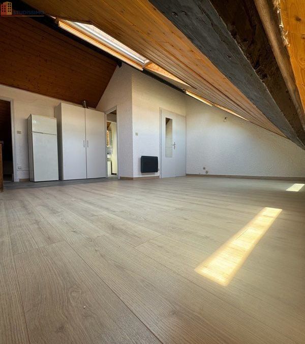 Studio 24m² Grenoble 38100 - Lumineux, kitchenette équipée - Photo 10