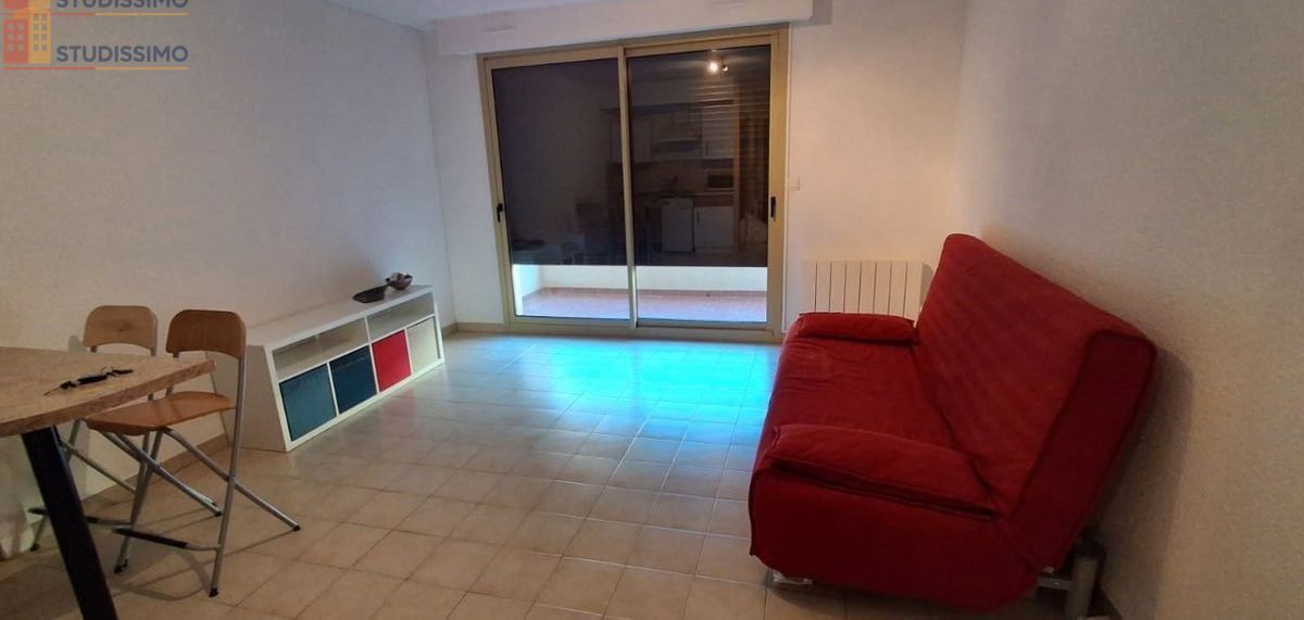 Studio meublé 29m² Grenoble Île Verte - Meublé, lumineux - Photo 6