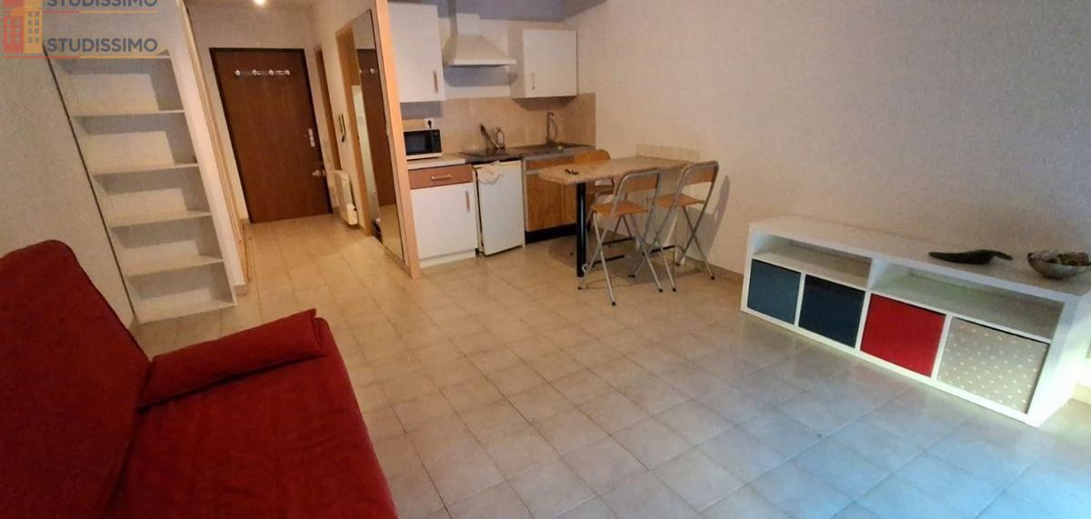Studio meublé 29m² Grenoble Île Verte - Meublé, lumineux - Photo 3