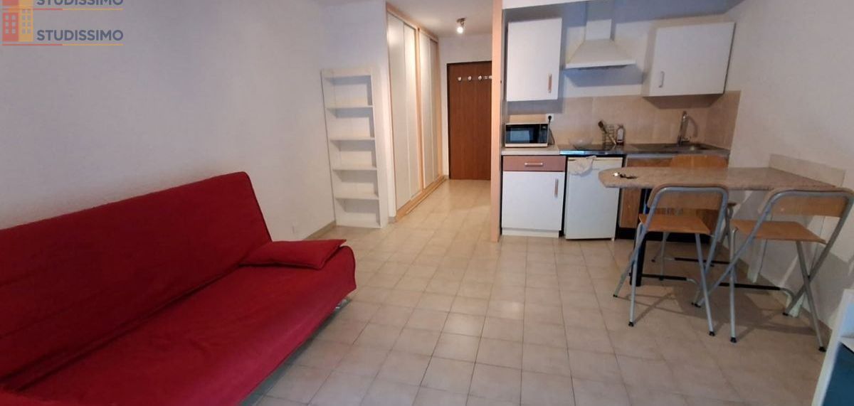 Studio meublé 29m² Grenoble Île Verte - Meublé, lumineux - Photo 2