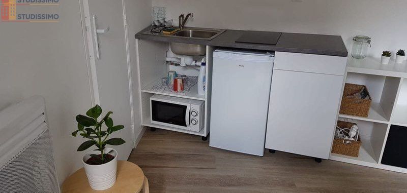Studio 14m² Grenoble 38000 - Meublé, DPE D - Photo 18