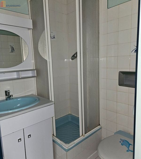 Studio 16m² Grenoble centre - Meublé, lumineux - Photo 12