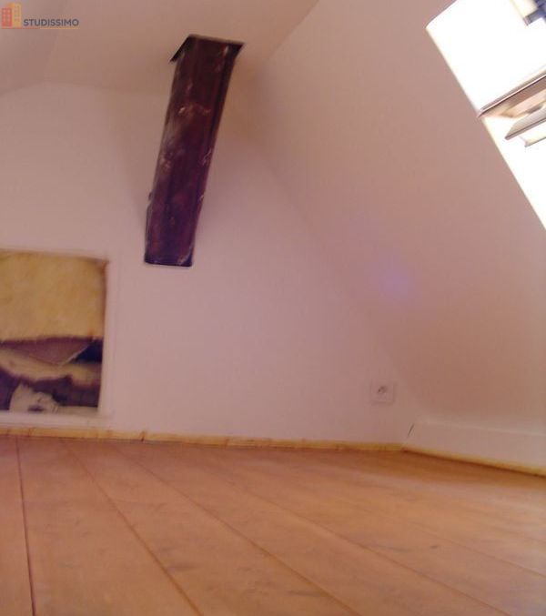 Studio 14m² Grenoble centre - Meublé, cuisine équipée - Photo 10