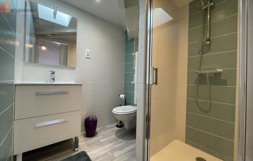 Studio 23m² Heyrieux - DPE C - Photo 3