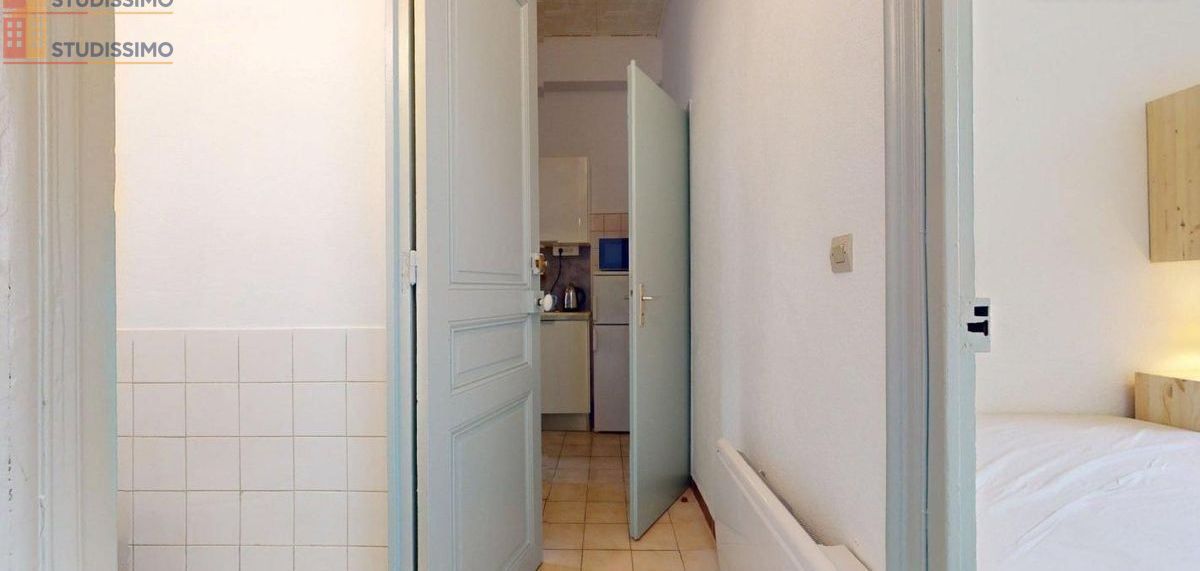 Studio meublé 30m² Grenoble - Meublé, 1 pièce - Photo 4