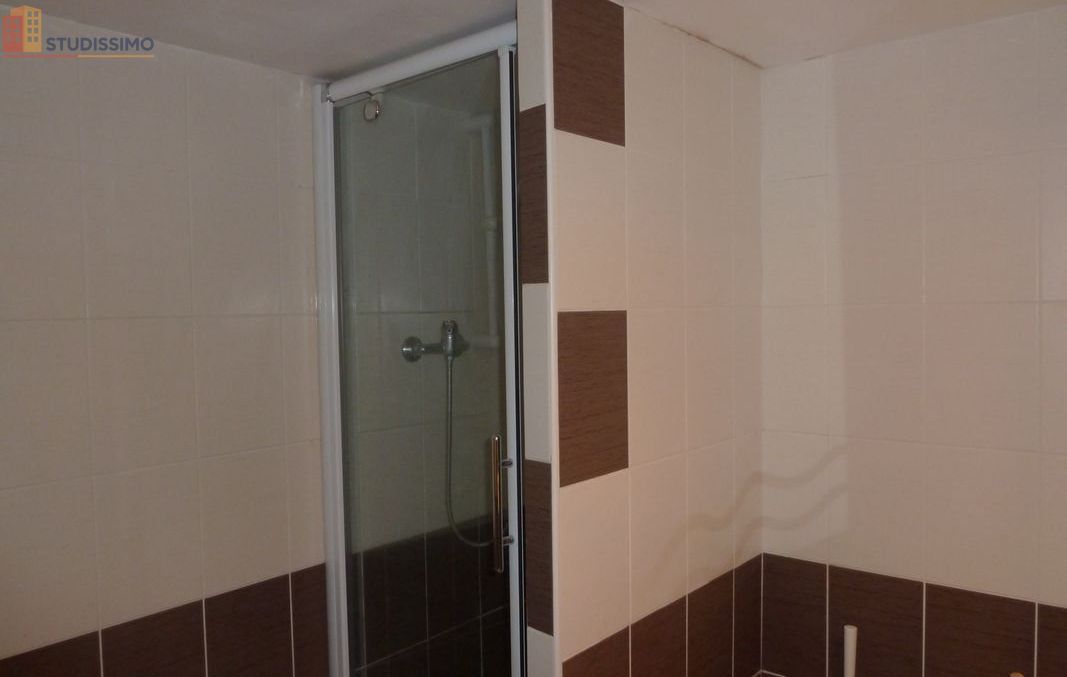Studio 18m² Grenoble 38000 - Dernier étage, lumineux - Photo 4
