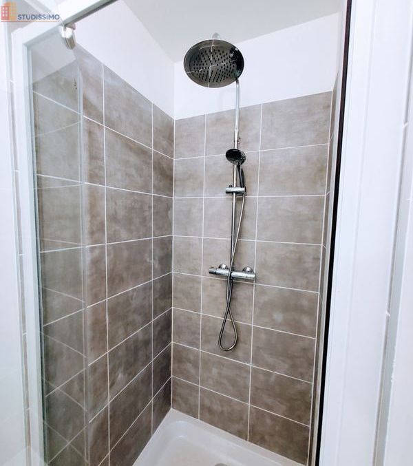 Studio meublé 28m² Grenoble centre - Lumineux, 4e étage - Photo 14