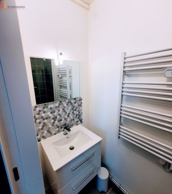 Studio meublé 28m² Grenoble centre - Lumineux, 4e étage - Photo 12