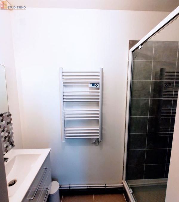 Studio meublé 28m² Grenoble centre - Lumineux, 4e étage - Photo 1