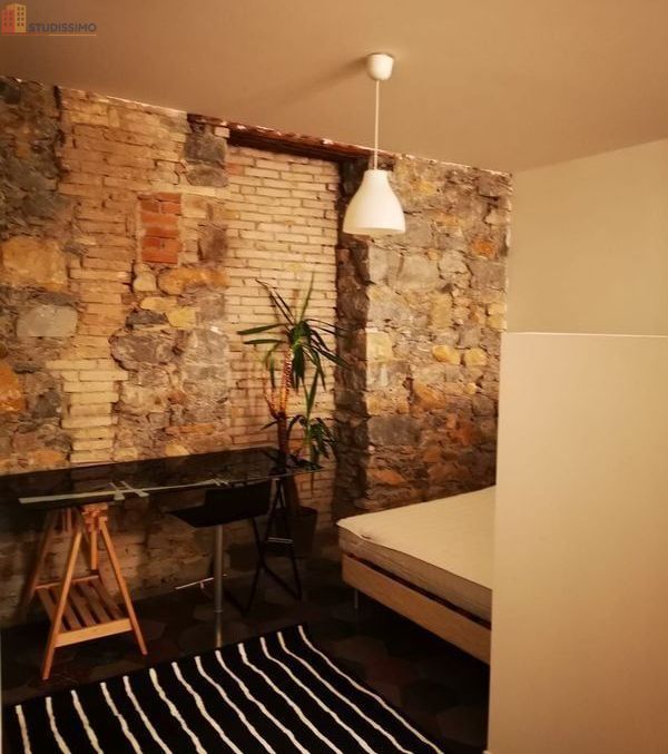 Studio meublé 30m² Grenoble - Rénové, tout équipé - Photo 3