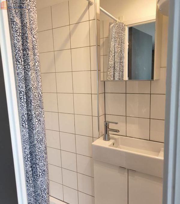Studio meublé 30m² Grenoble - Rénové, tout équipé - Photo 2
