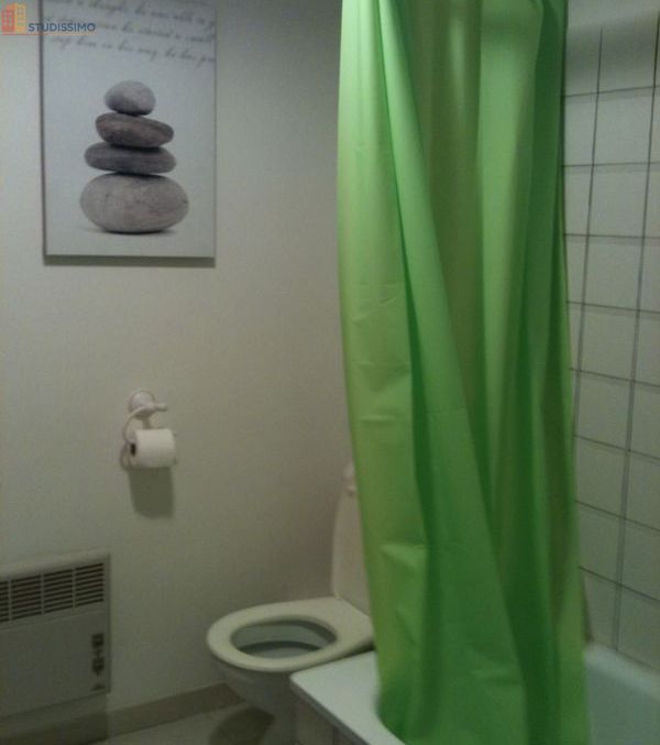 Studio meublé 30m² Vaulnaveys-le-Haut - Meublé, 1er étage - Photo 1