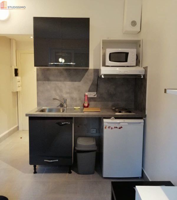Studio meublé 17m² Grenoble - Meublé, DPE B - Photo 5
